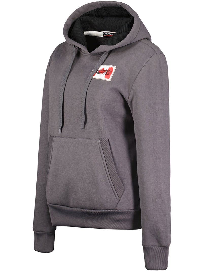 Felpa con cappuccio genifeak – canadian peak Grigio scuro - Kiabi