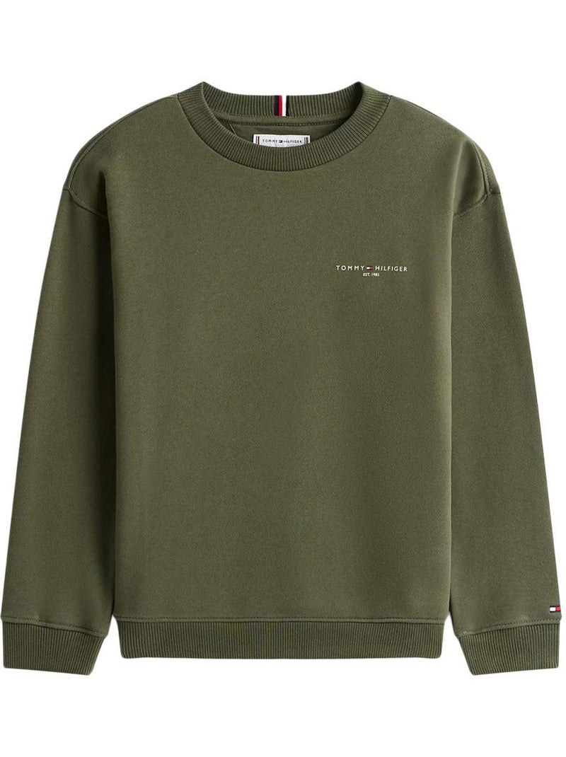 Felpa da Ragazzo Tommy Hilfiger Verde - Kiabi