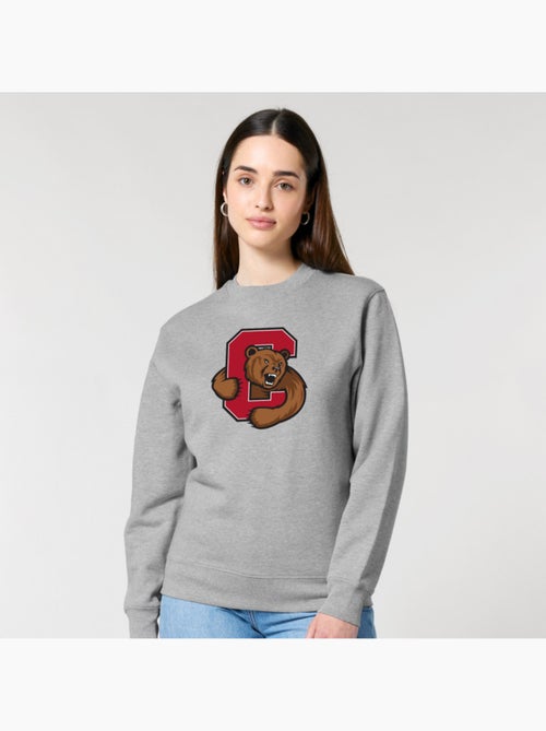 Felpa Donna - CORNELL UNIVERSITY C BEAR - Kiabi