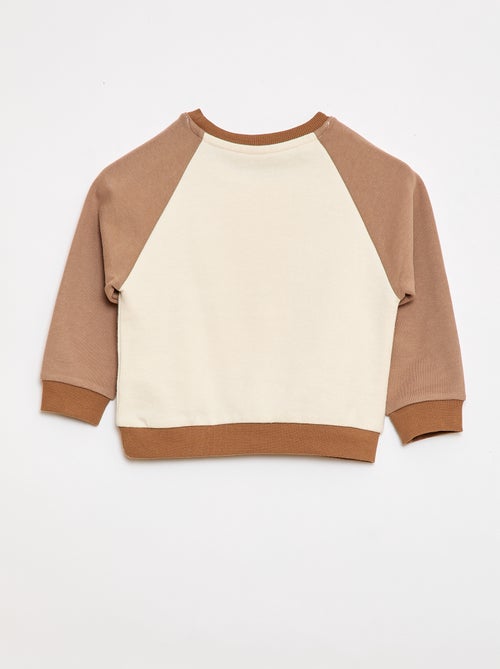 Felpa french terry in cotone bicolore - Kiabi