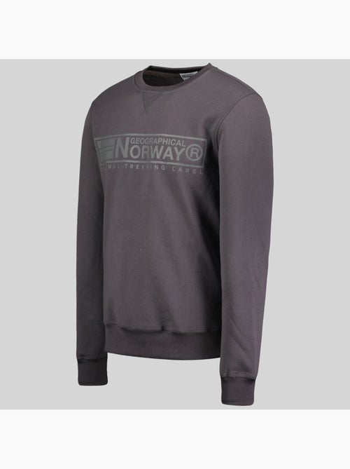 Felpa gantoine – geographical norway - Kiabi Felpa gantoine – geographical norway - Kiabi