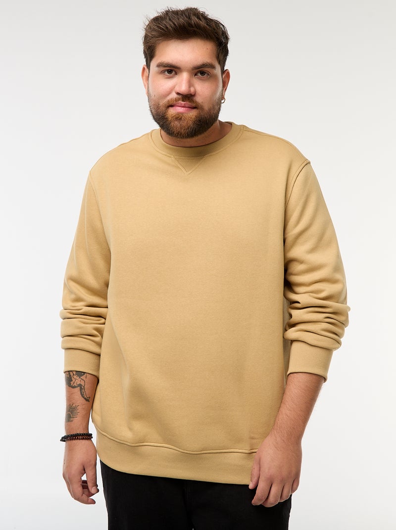 Felpa girocollo tinta unita Beige - Kiabi