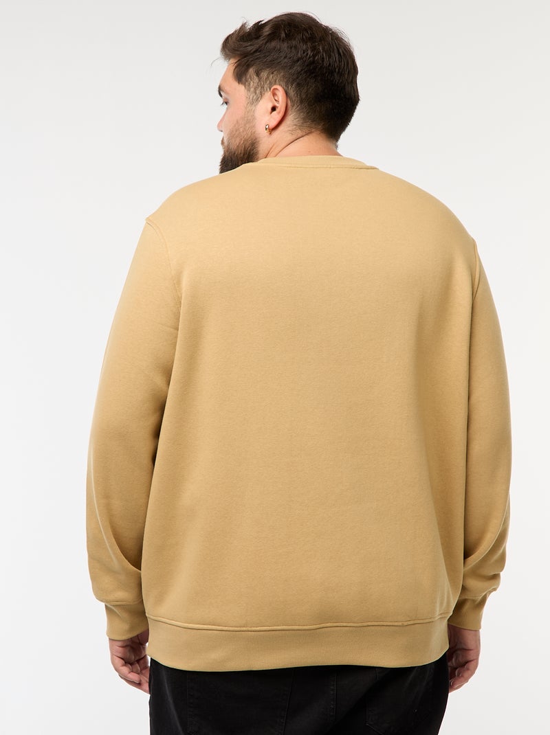 Felpa girocollo tinta unita Beige - Kiabi