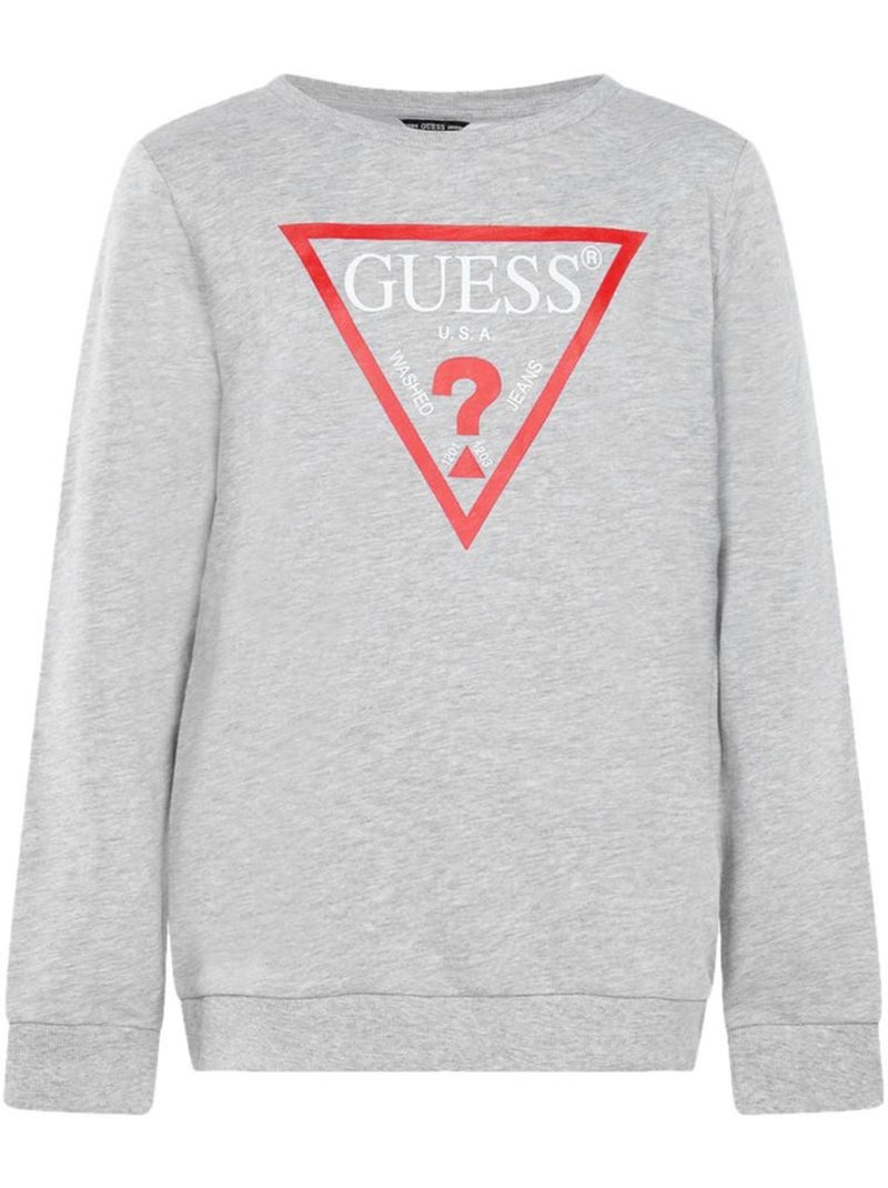 Felpa Guess da ragazzo Grigio argentato - Kiabi