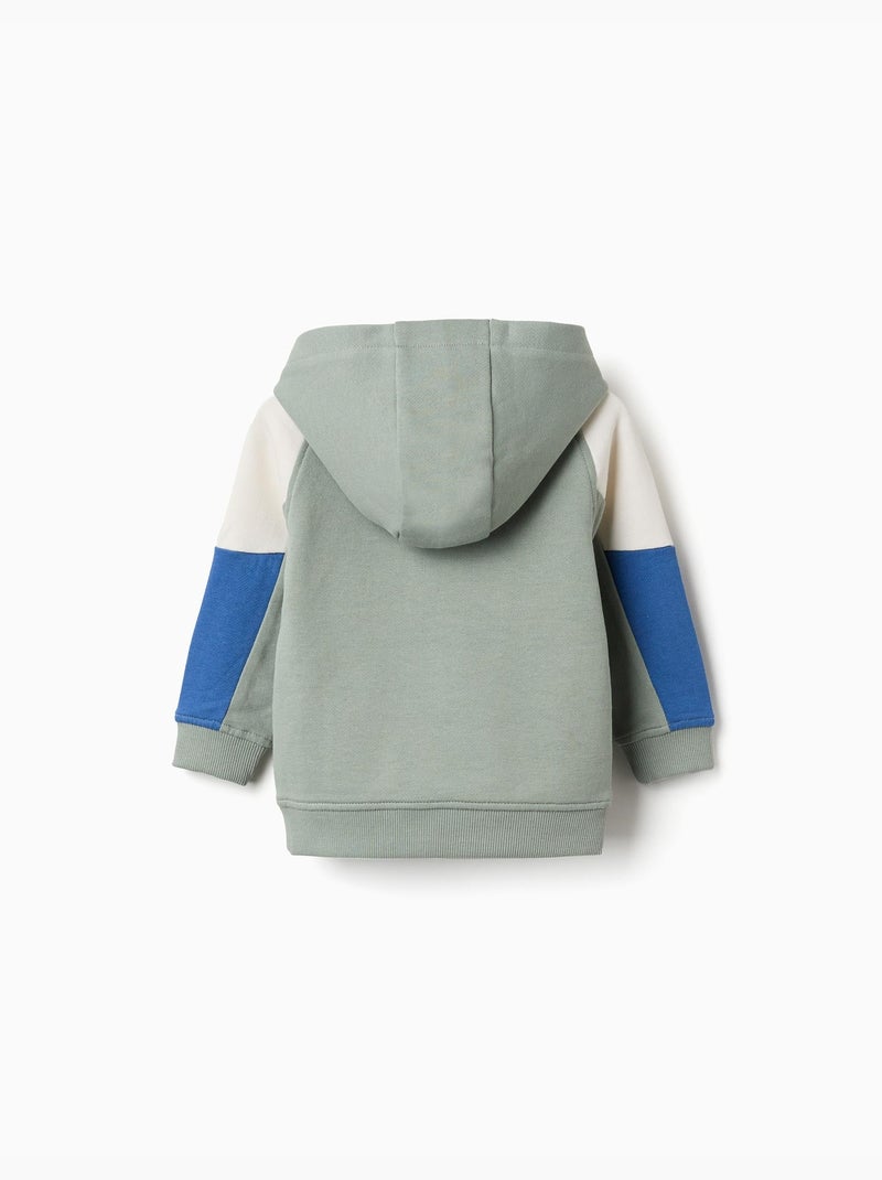 Felpa in cotone con cappuccio Verde - Kiabi