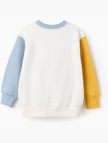 Felpa in cotone con colour block e stampa