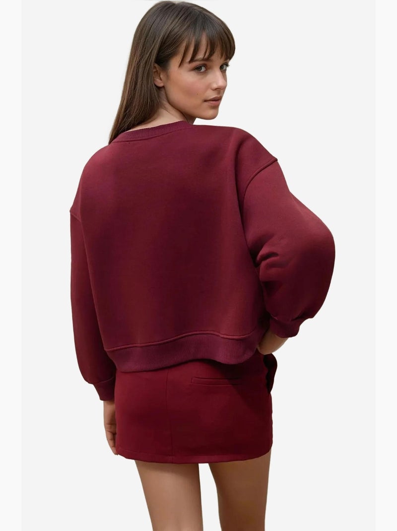 Felpa in cotone con vestibilità rilassata e ricamata hiccup Rosso bordeaux - Kiabi