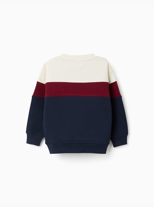 Felpa in cotone spazzolato con colour block - Kiabi