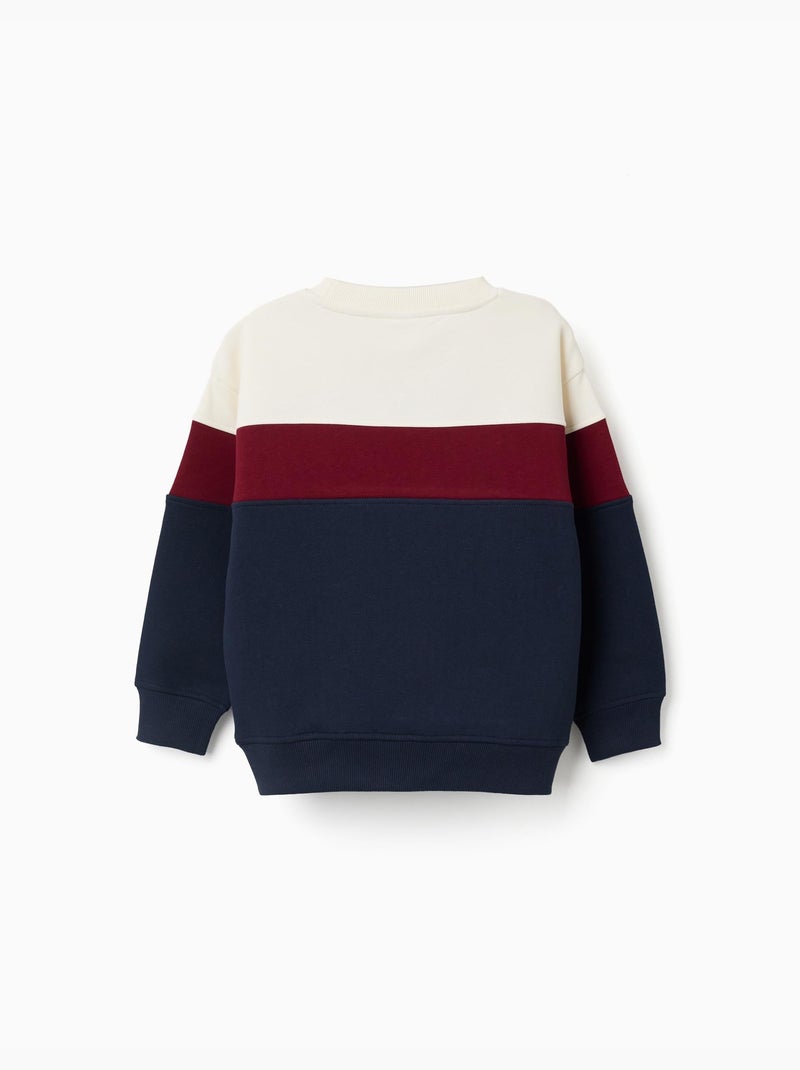 Felpa in cotone spazzolato con colour block Rosso scuro - Kiabi
