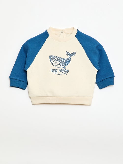 Felpa in felpa garzata con maniche raglan - Kiabi