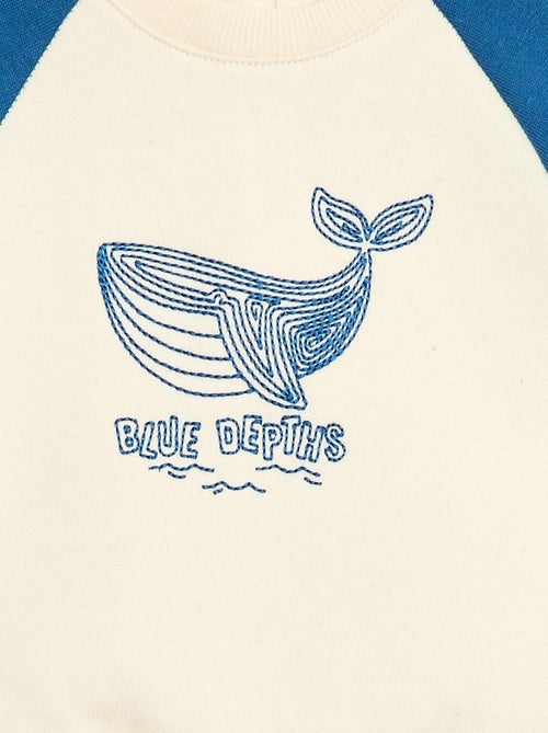 Felpa in felpa garzata con maniche raglan - Kiabi