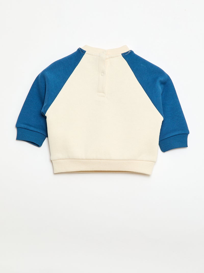 Felpa in felpa garzata con maniche raglan Beige - Kiabi