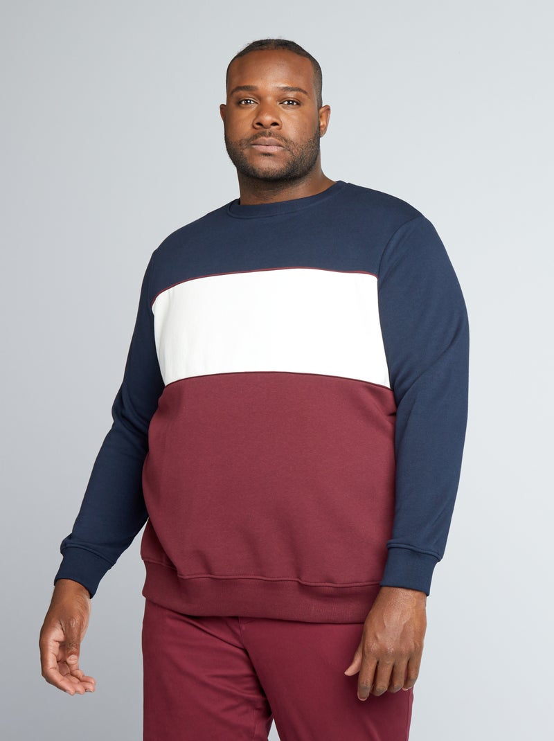 Felpa in tessuto felpato garzato colorblock BLU - Kiabi