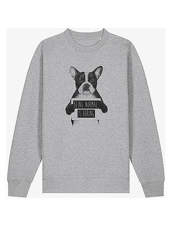 Felpa Uomo - BEING NORMAL IS BORING