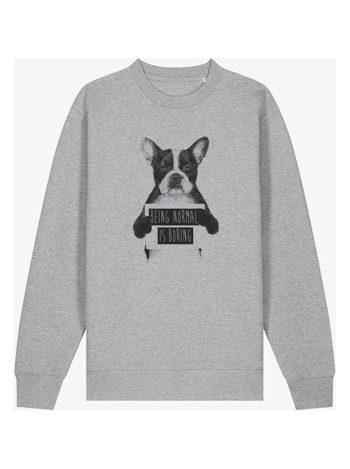 Felpa Uomo - BEING NORMAL IS BORING - Kiabi