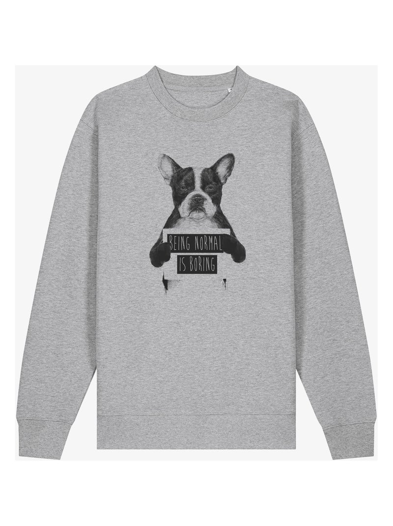 Felpa Uomo - BEING NORMAL IS BORING Grigio melangiato - Kiabi