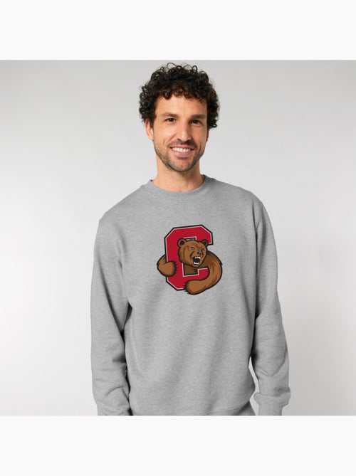 Felpa Uomo - CORNELL UNIVERSITY C BEAR - Kiabi