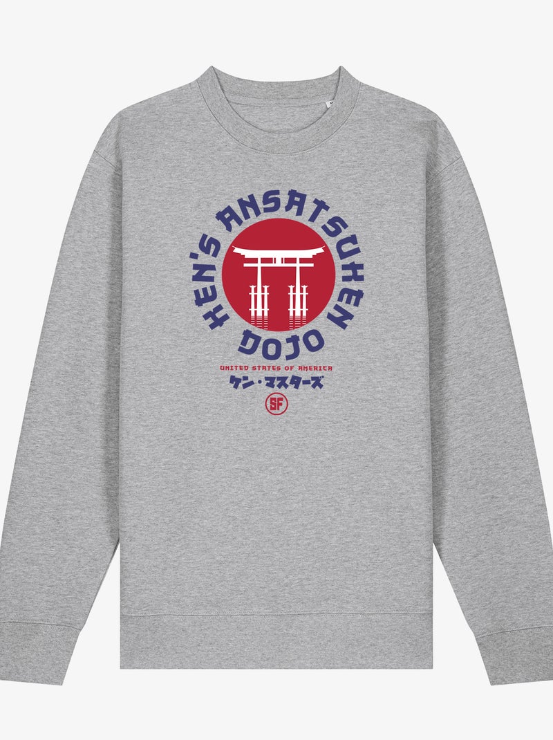 Felpa Uomo - UNITED STATES OF AMERICA STREET FIGHTER Grigio melangiato - Kiabi