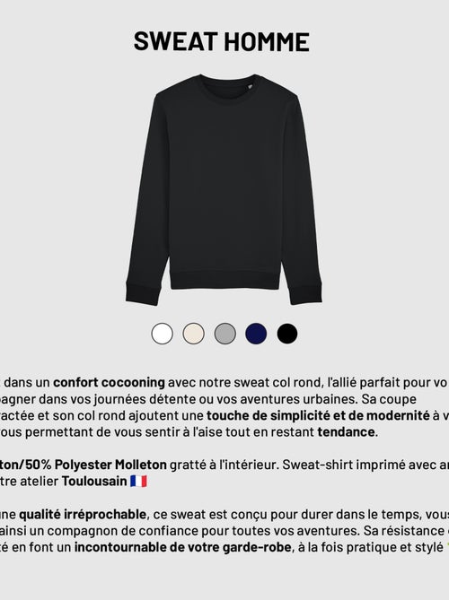 Felpa Uomo - WINTER PULLOVER - Kiabi