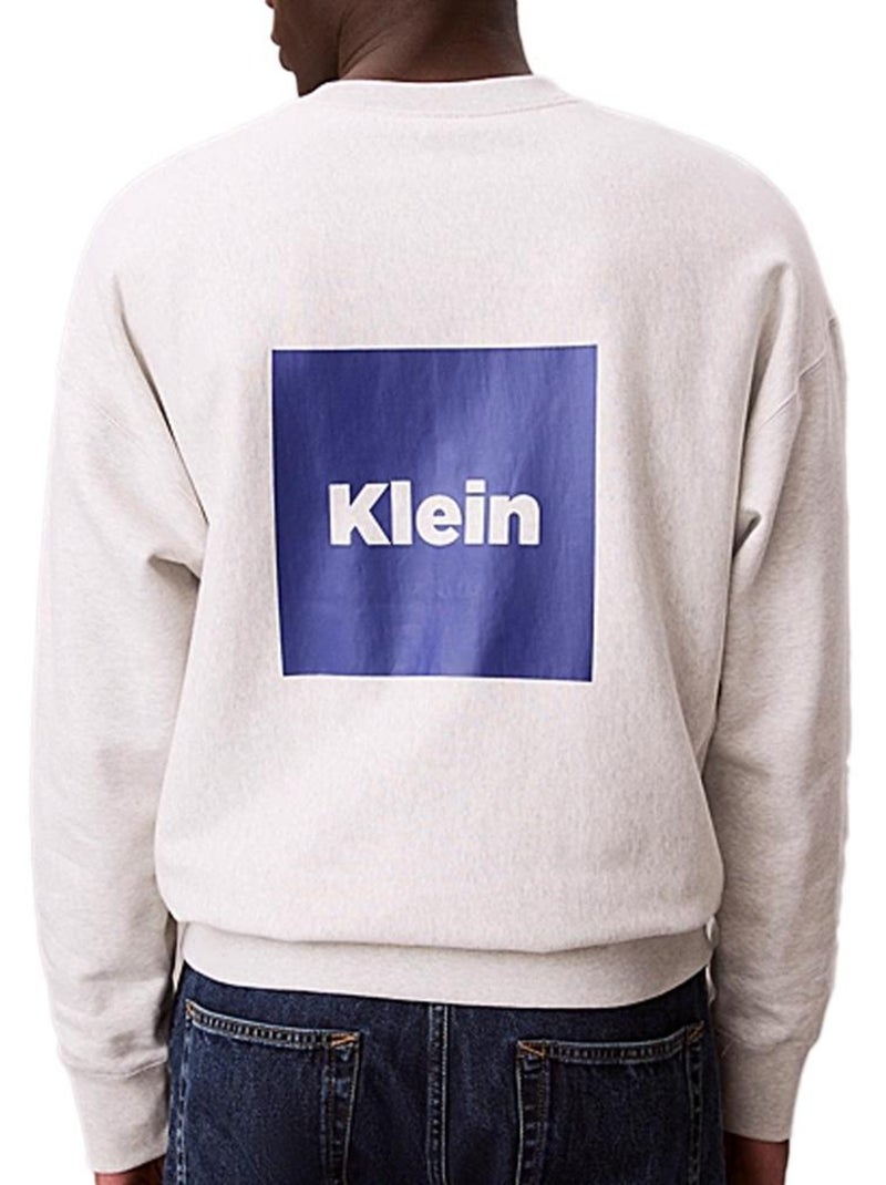 Felpa Uomo Calvin Klein Jeans Grigio argentato - Kiabi
