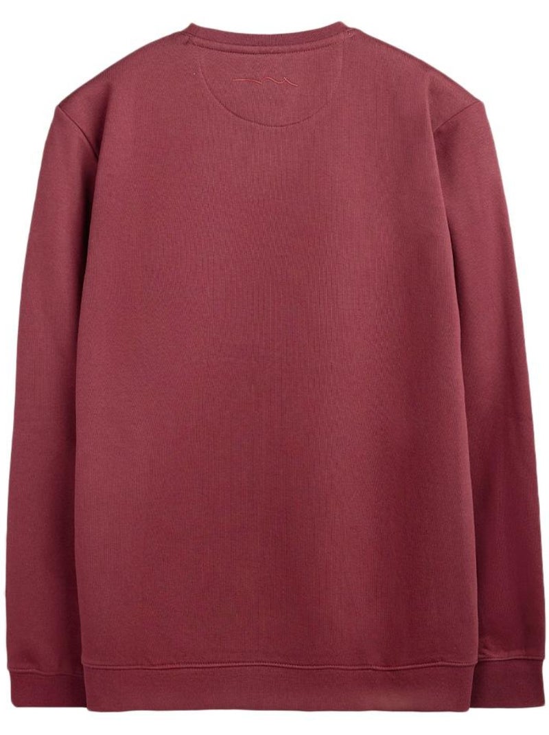 Felpa Uomo Teddy Smith Bordeaux - Kiabi