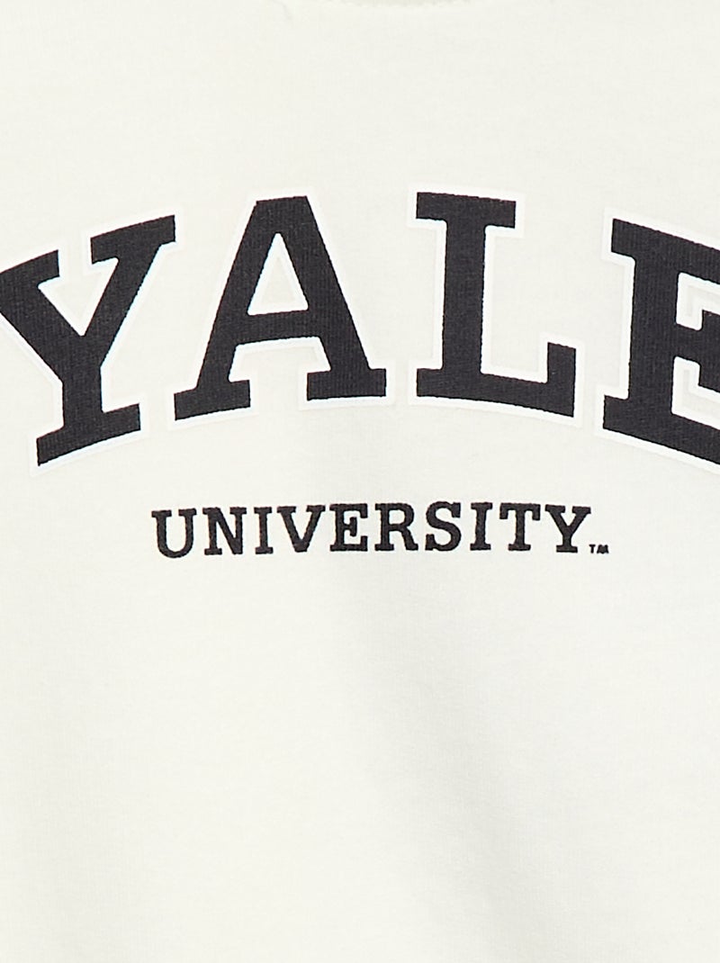 Felpa 'Yale' a girocollo Grigio - Kiabi