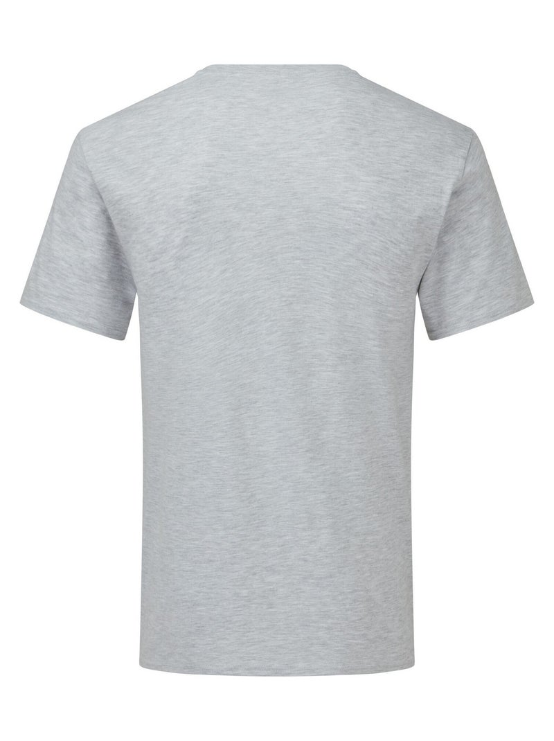 Fruit of the Loom Iconic 150 Maglietta Scollo a V Adulto Unisex Grigio - Kiabi