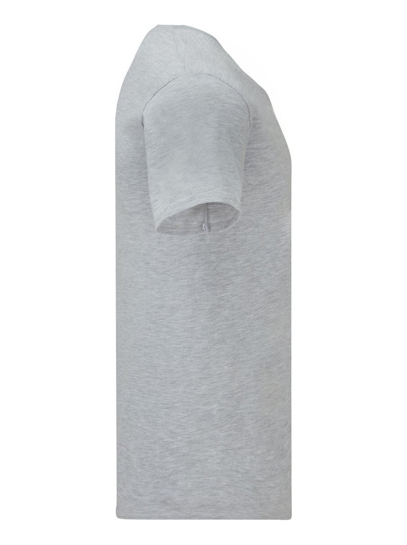 Fruit of the Loom Iconic 150 Maglietta Scollo a V Adulto Unisex Grigio - Kiabi
