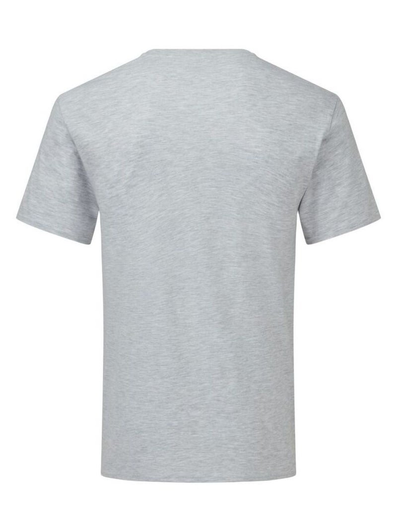 Fruit of the Loom Iconic 150 Maglietta Scollo a V Uomo Grigio melangiato - Kiabi