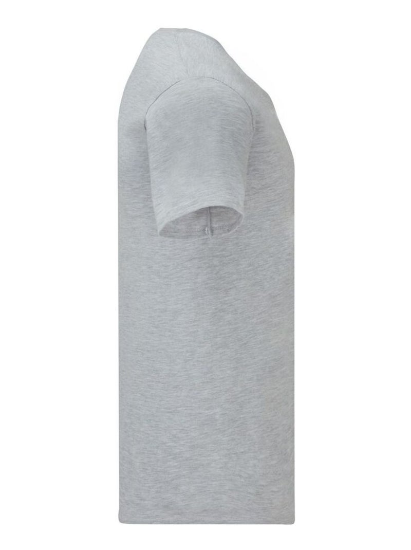 Fruit of the Loom Iconic 150 Maglietta Scollo a V Uomo Grigio melangiato - Kiabi