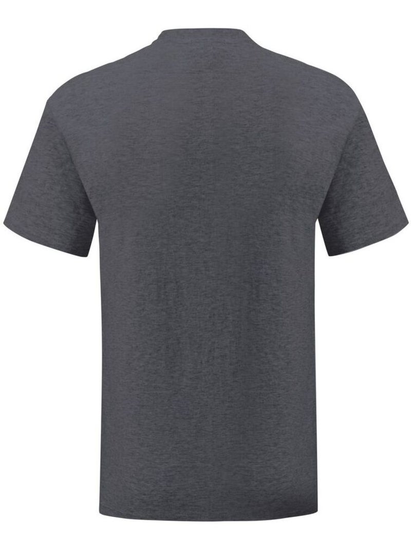 Fruit of the Loom Iconic 150 Maglietta Uomo Grigio scuro - Kiabi