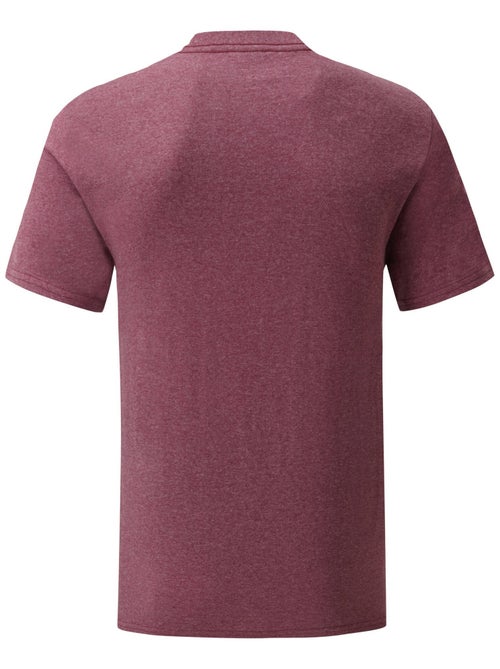 Fruit of the Loom Iconic Maglietta Adulto Unisex - Kiabi