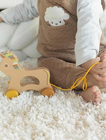 Giocattolo in legno da tirare per bambini
