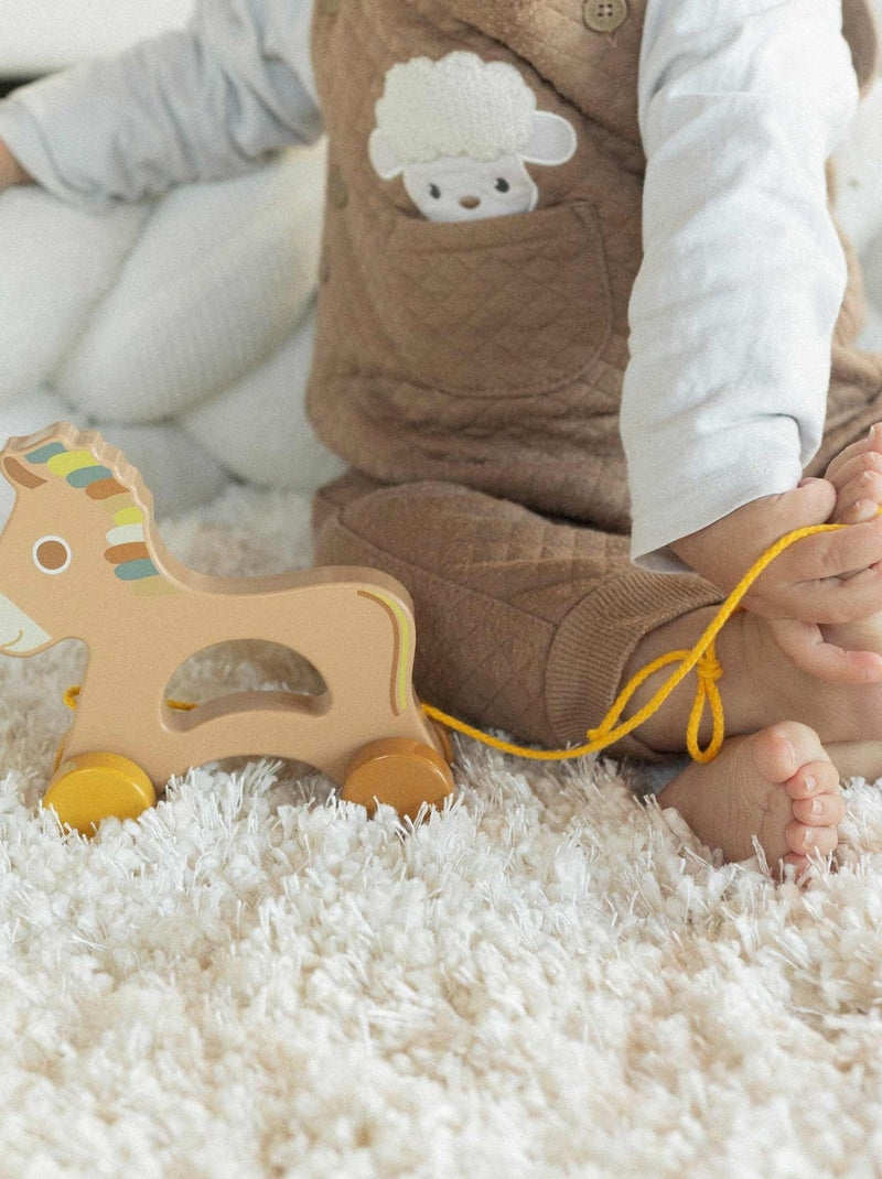 Giocattolo in legno da tirare per bambini Multicolore - Kiabi