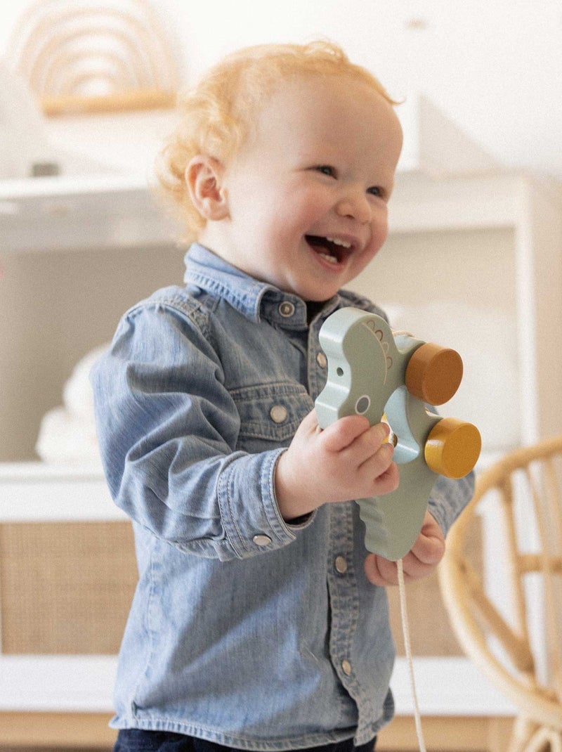 Giocattolo in legno da tirare Verde - Kiabi