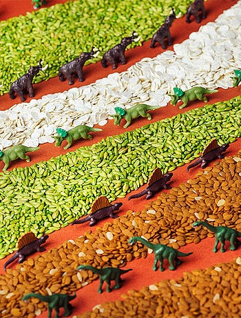 Giocattolo per neonato bottiglia sensoriale con suono | Petit Boum