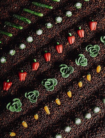 Giocattolo per neonato bottiglia sensoriale con suono | Petit Boum