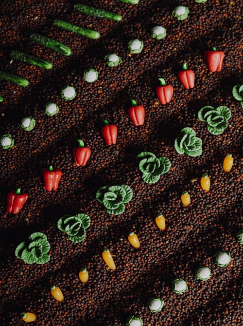 Giocattolo per neonato bottiglia sensoriale con suono | Petit Boum - Kiabi