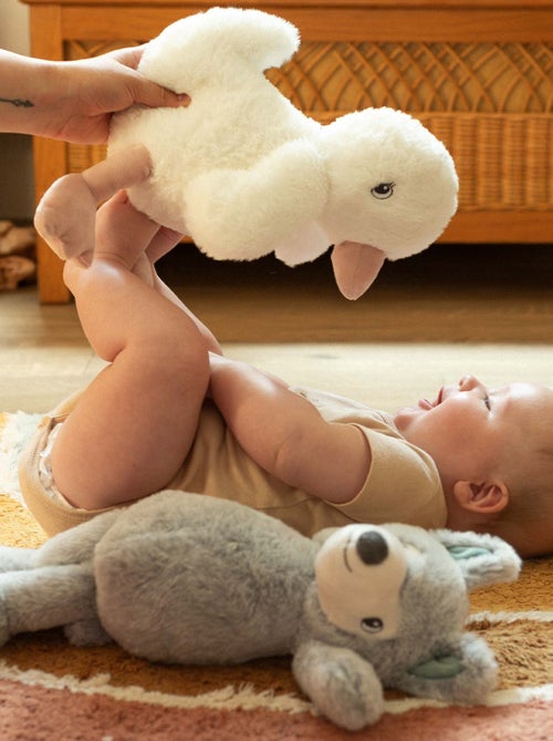 Grande peluche morbidissima - Lupo - Kiabi