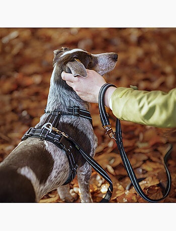 Guinzaglio semplice per cani PELUVIO Amigo - 2,2 m
