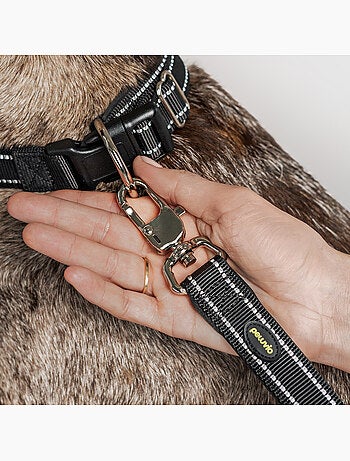 Guinzaglio semplice per cani PELUVIO Amigo - 2,2 m