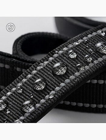 Guinzaglio semplice per cani PELUVIO Amigo - 2,2 m