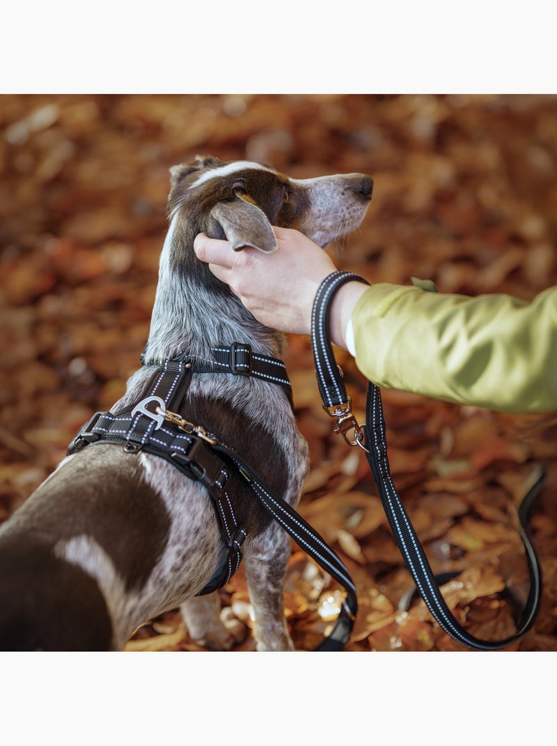Guinzaglio semplice per cani PELUVIO Amigo - 2,2 m Nero - Kiabi