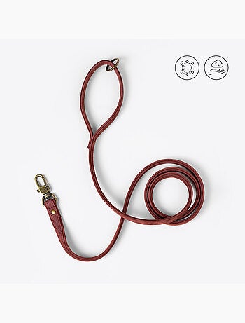 Guinzaglio semplice per cani PELUVIO Regent - 1,7 m