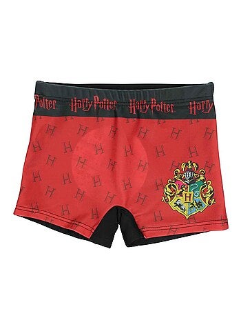 Harry Potter - Boxer mare