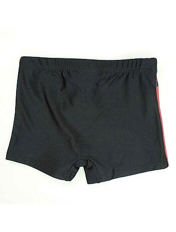 Harry Potter - Boxer mare