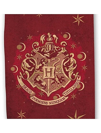 Harry Potter, Asciugamano da Bagno per Bambini Stampato 100% cotone, HOGWARTS