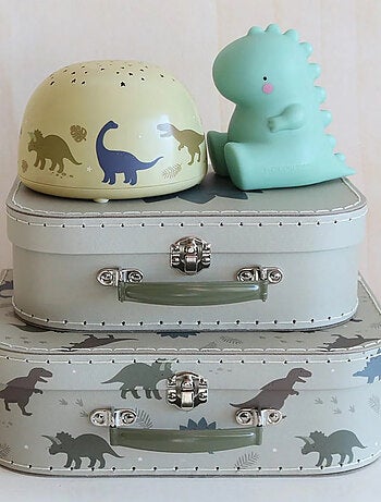 Lampada notturna proiettore di stelle | A Little Lovely Company