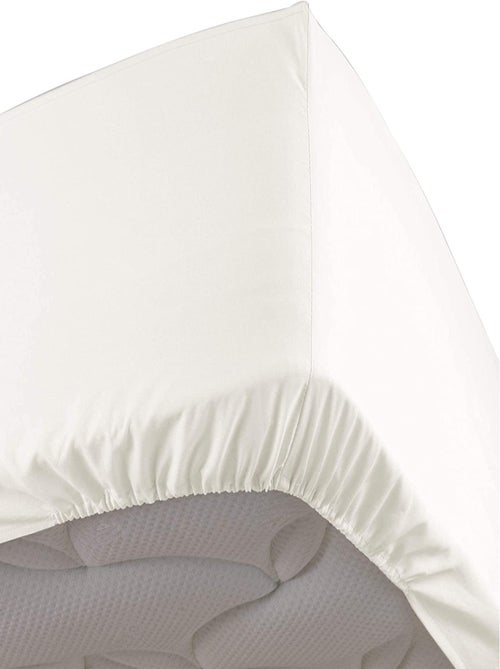 Lenzuola con angoli in percalle di cotone LIA PROMO LINGE - Kiabi