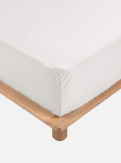 Lenzuola con angoli in percalle di cotone LIA PROMO LINGE - Kiabi